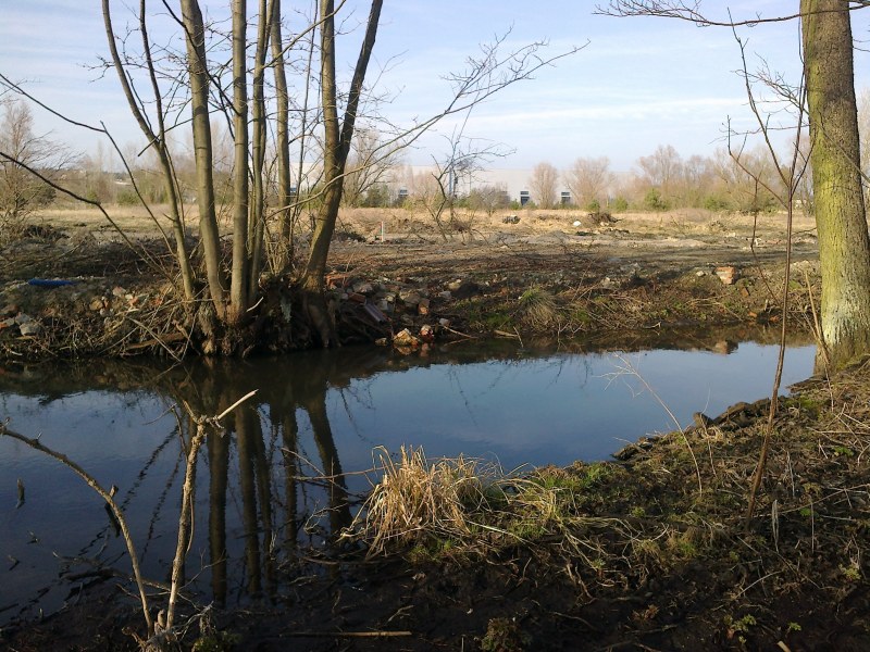 Flis przed fabryką puszek.jpg