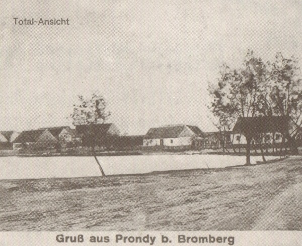 3prady1915.jpg